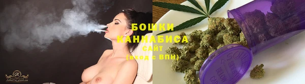 ГАЛЛЮЦИНОГЕННЫЕ ГРИБЫ Нязепетровск
