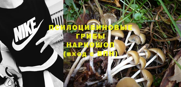 мяу мяу кристалл Нягань