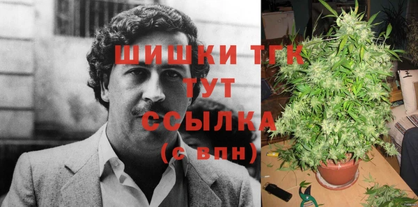 ГАЛЛЮЦИНОГЕННЫЕ ГРИБЫ Нязепетровск