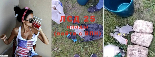 ГАЛЛЮЦИНОГЕННЫЕ ГРИБЫ Нязепетровск