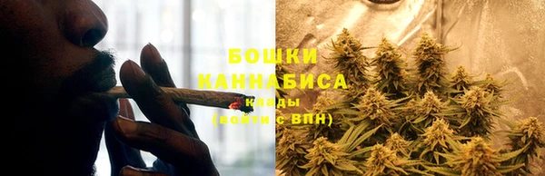 ГАЛЛЮЦИНОГЕННЫЕ ГРИБЫ Нязепетровск