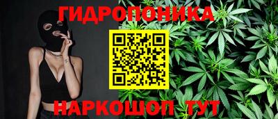 молекула духа Заволжье