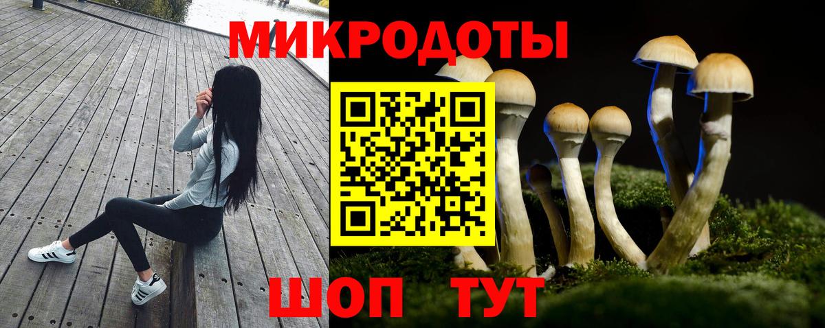 Псилоцибиновые грибы MAGIC MUSHROOMS  Лабинск  купить закладку  Галлюциногенные грибы GOLDEN TEACHER 