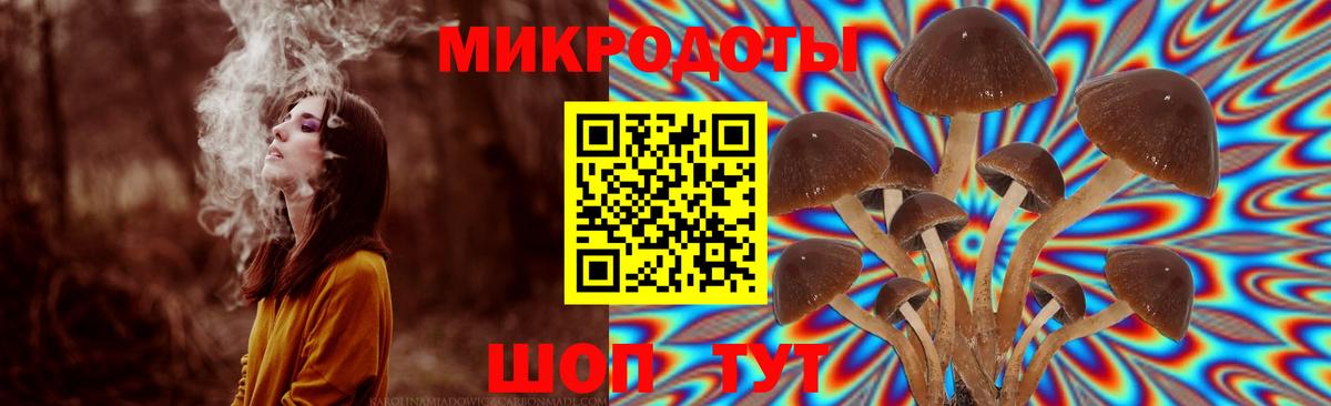 даркнет сайт  Псилоцибиновые грибы ЛСД  Вход с VPN  Лабинск 